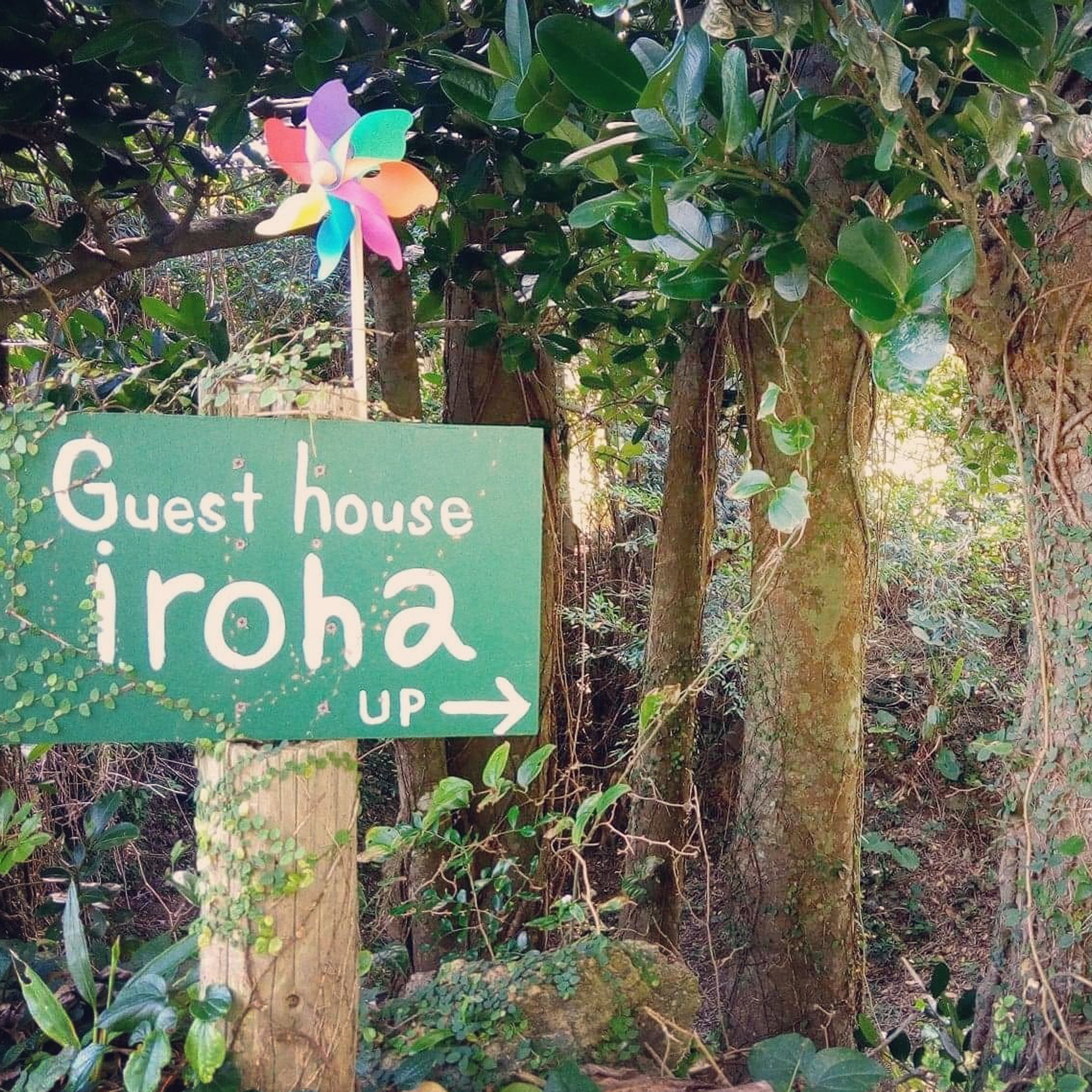 イメージ画像 | Guest house iroha